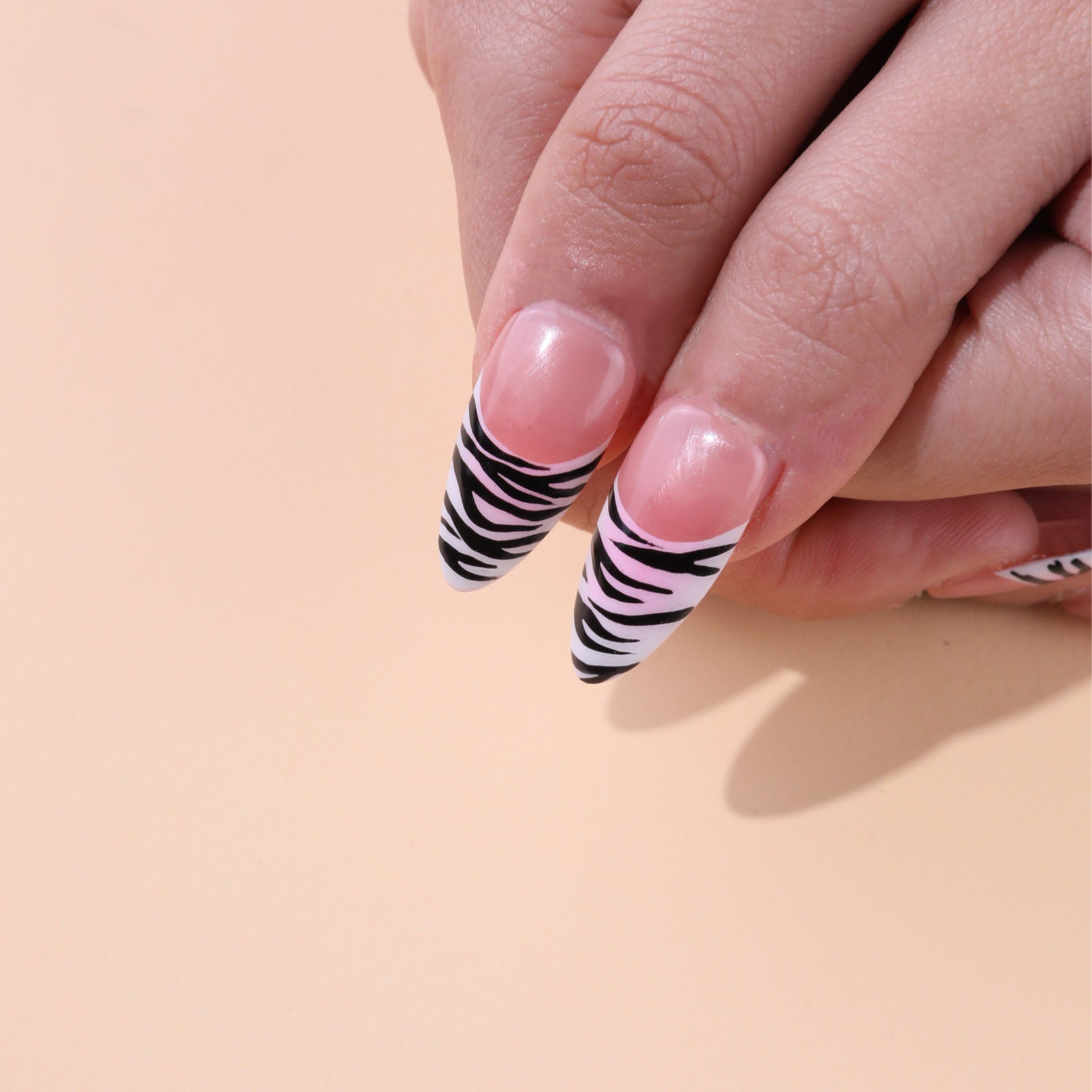 shy zebra