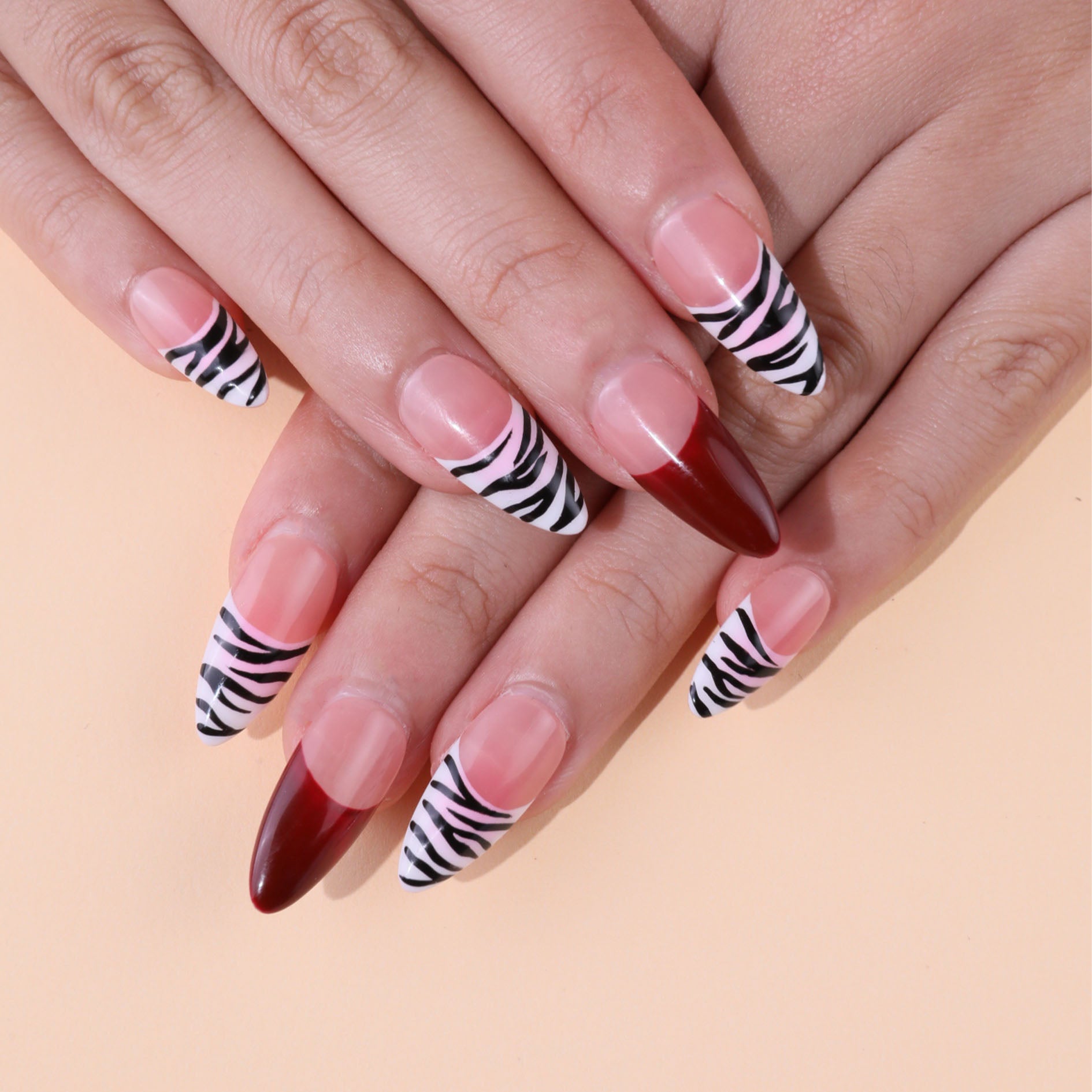 shy zebra