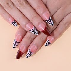 shy zebra